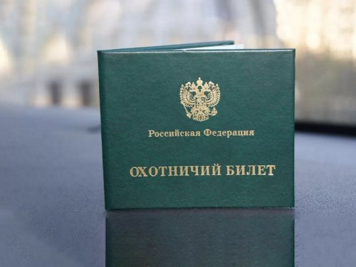 В Томской области начался сезон охоты на лосей и  пушных животных