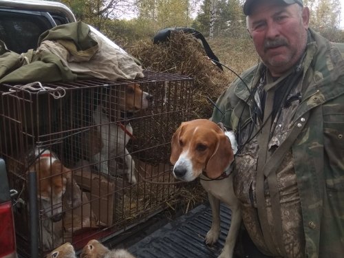 Чернотроп