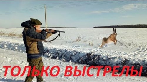 Лучшие моменты с охоты на зайца и утку / MAX HUNTER
