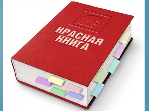 Минприроды внесет в Красную книгу 153 новых вида птиц и животных