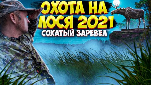 Охота на лося 2021/Сохатый отозвался на наш призыв/Часть 4