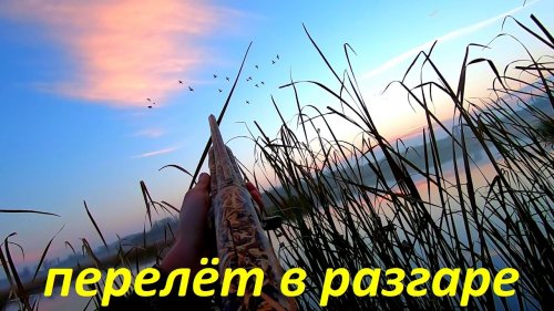 СУПЕР ОХОТА в НЕ УТИНУЮ ПОГОДУ!!! Охота на утку на Волге. Октябрьский селезень / MAX HUNTER