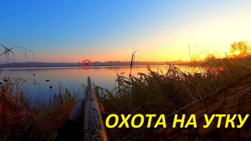 Охота ну утку. Первая охота с сыном 2021. Розыгрыш ножа от "мастерской Самойлова В.М." / MAX HUNTER