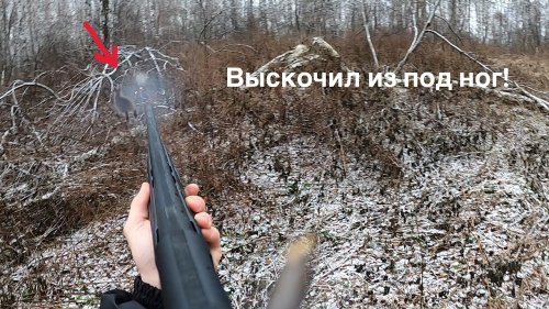 УСПЕШНОЕ ОТКРЫТИЕ НА ЗАЙЦА.ВЫСКОЧИЛ ИЗ ПОД НОГ.ОХОТА НА ЗАЙЦА