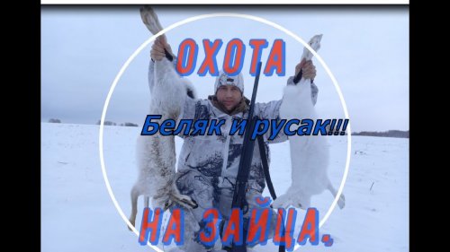 Охота на зайца!Русак и беляк в один день!