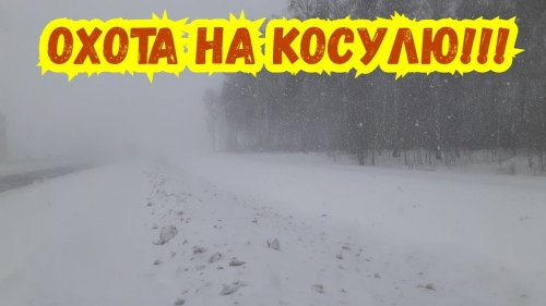 Охота на Косулю! Охота в метель! Узнаём новые места!