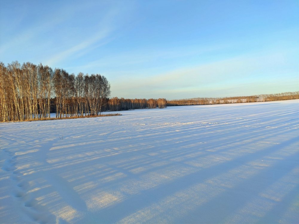 Мороз и солнце.