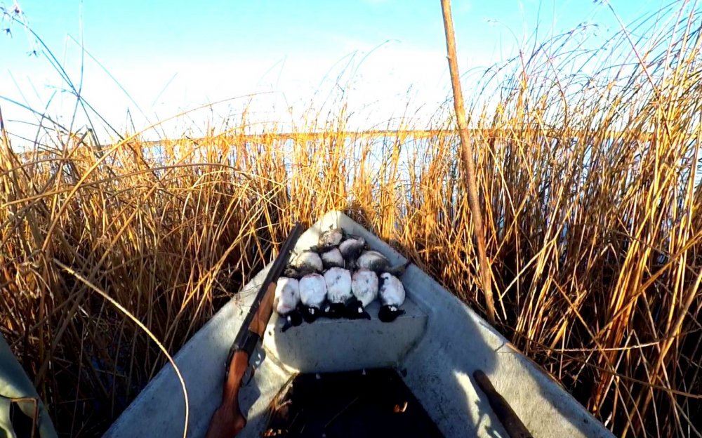 На первое морозное утро.