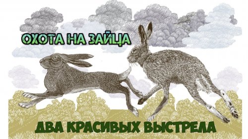 Охота на зайца. Два красивых выстрела. Hunting for hares