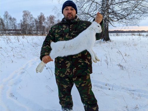 Наступил на беляка.