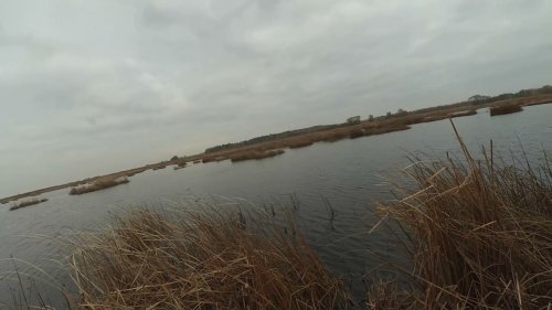 Охота на уток в середине ноября 2021-го.