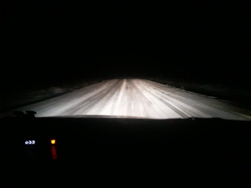 Воскресный выезд на зайца