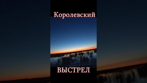 Королевский выстрел по утке | Royal duck shot #shorts