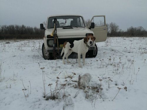 Второй в этом сезоне.