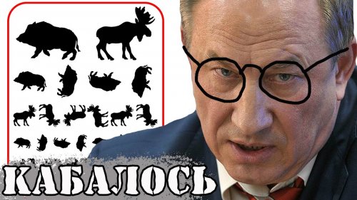 Рашкин избежит наказания за добычу лося ?