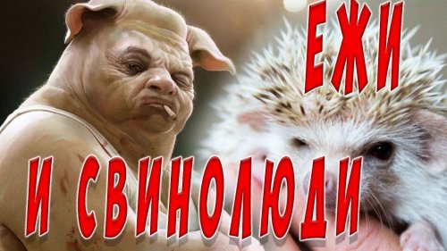 Охота