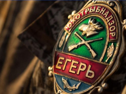 В Госдуме предложили повысить зарплаты егерям
