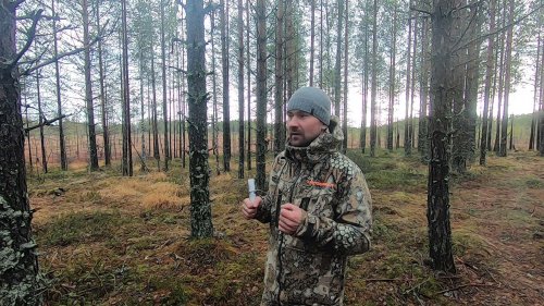 Я в ШОКЕ от манка на белолобого гуся от Ивана Золотарёва.