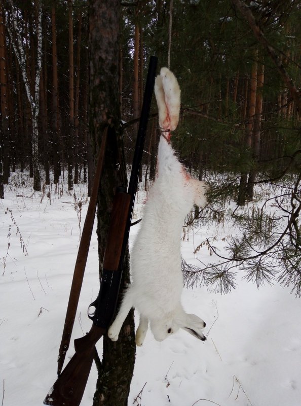 С полем меня!