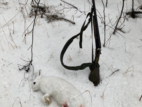 Полное безследие