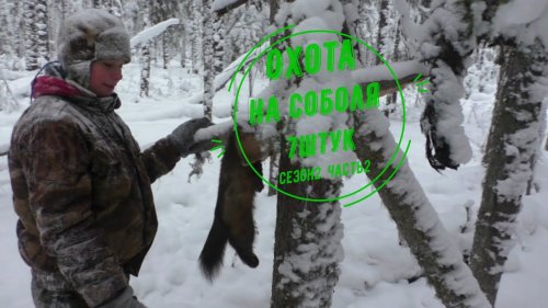 Охота на соболя. Сезон 2. Часть 2.Удача.