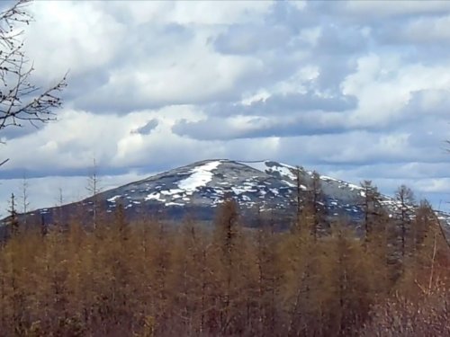В краю непуганых топтыгиных 5.