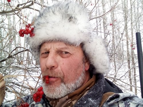 Калина красная.