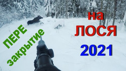 Охота НА ЛОСЯ. ФИНАЛ 2021.
