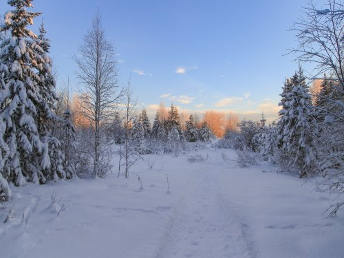 декабрь 21