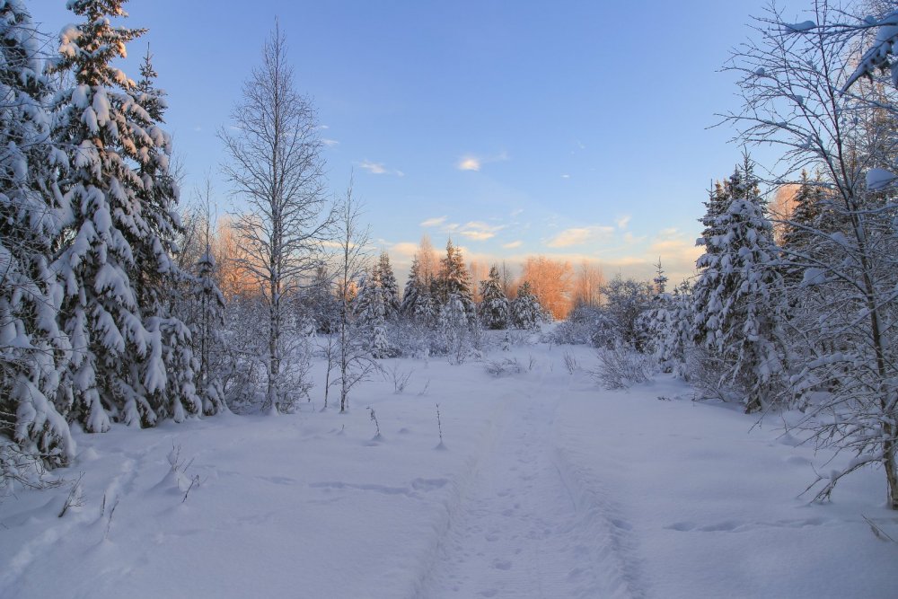 декабрь 21