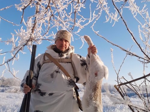 К праздничному столу