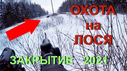 Охота НА ЛОСЯ. ЗАКРЫТИЕ 2021 года.