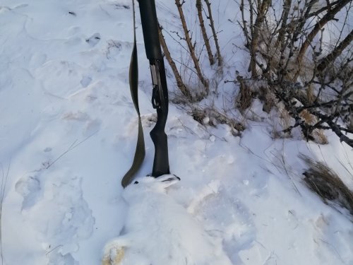 Декабрь 2021
