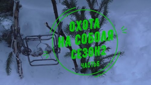 Охота на соболя. Сезон 2.Часть 6.Срочный выезд на избу. Удача не обошла стороной.