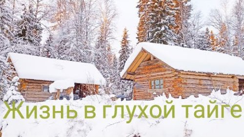 УЕХАЛИ ТОЛПОЙ В ТАЙГУ / ЖИВЁМ В ИЗБЕ / КАК ЖЕ ХОРОШО В ДАЛИ ОТ ЦИВИЛИЗАЦИИ! РЫБАЛКА В ГЛУХОЗИМЬЕ.
