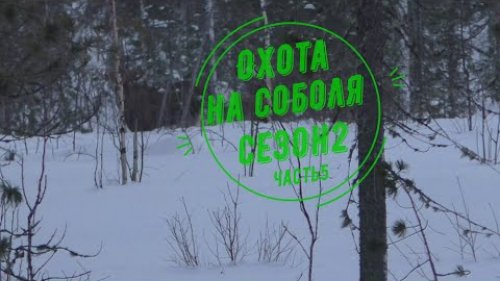 Охота на соболя.Сезон2.Часть 5. Попался сохатый, да не один.