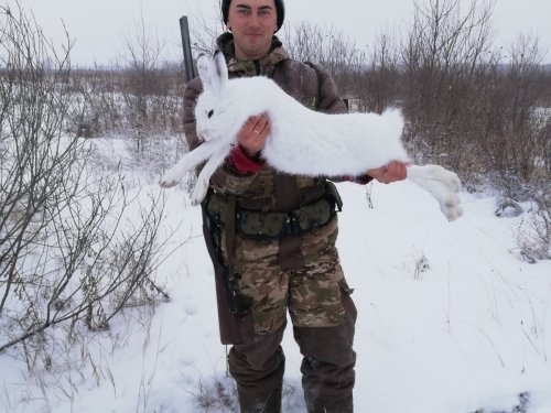 Дождался на тропе