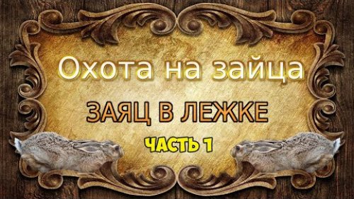 Охота на зайца-русака. Зайцы в лежке. Часть первая