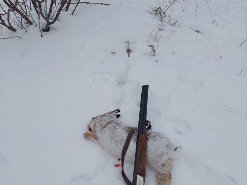 Как задумано -2.