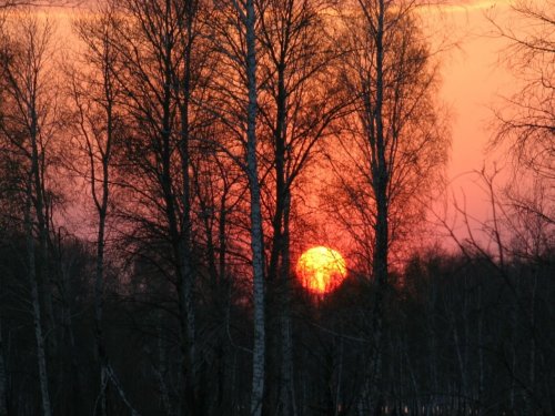 Грусть провожающая день