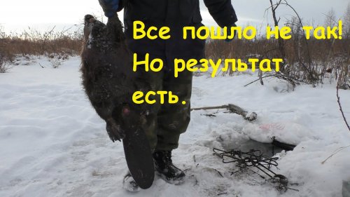 Ставлю и проверяю капканы на бобра зимой под лед.beaver hunting.