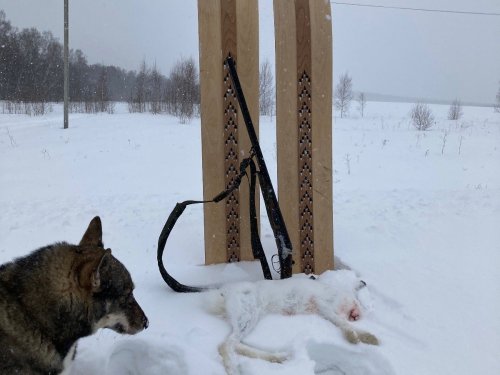 Ну вот и окрапили лыжи в этом сезоне)