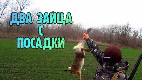 ОХОТА НА ЗАЙЦА! Они ТАМ где мы НЕ ОЖИДАЛИ их Увидеть сезон охоты 2021-2022 ТОЗ 34 И ИЖ 27