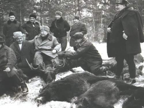 Залесье