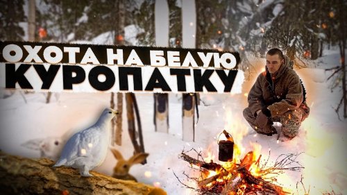 ОХОТА НА БОРОВУЮ ДИЧЬ ЗИМОЙ! ЧАЙ У КОСТРА / ЖИЗНЬ В ТАЙГЕ / ИДУ ПО СЛЕДАМ БЕЛОЙ КУРОПАТКИ. КОМИ КРАЙ