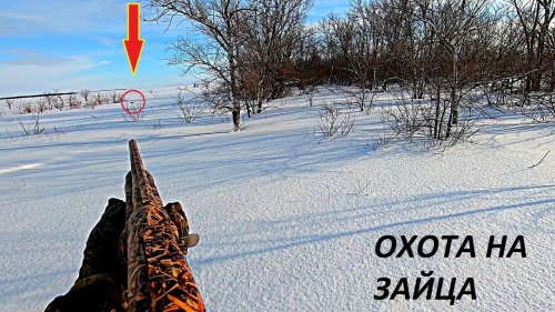 СУПЕР ОХОТА НА ЗАЙЦЕВ ЗАГОНОМ!!! ЗАЙЦЫ В ПОСАДКАХ!!! Я и три Димана / MAX HUNTER