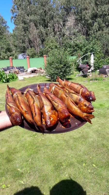 Окунь.