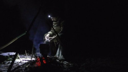 Дожить до рассвета в Вампирском лесу