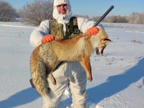 Новогодний воротник