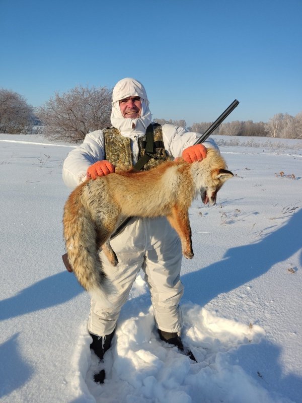 Новогодний воротник